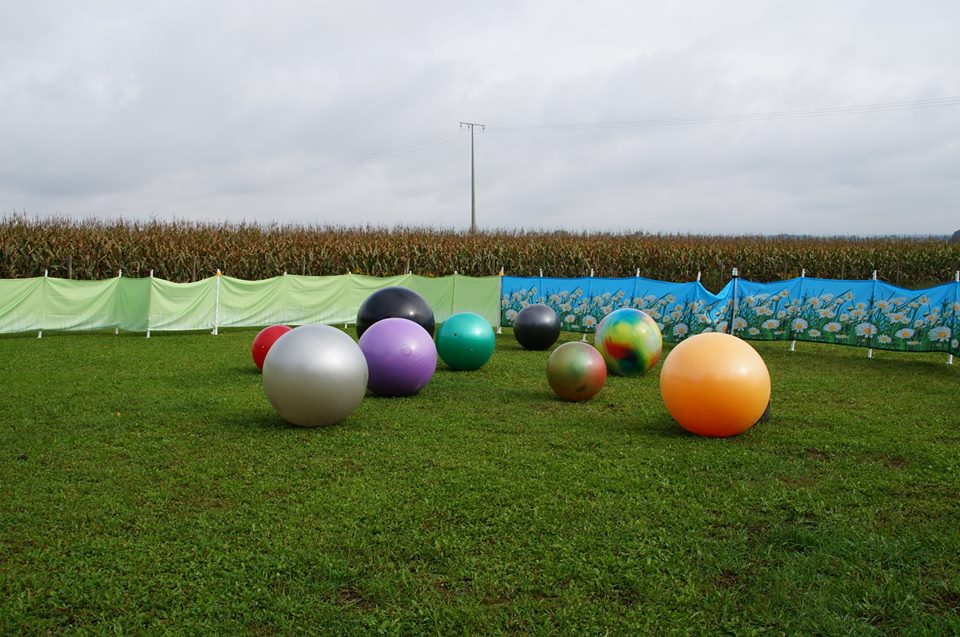 sheepball Die kreative Hundeschule Treibball
